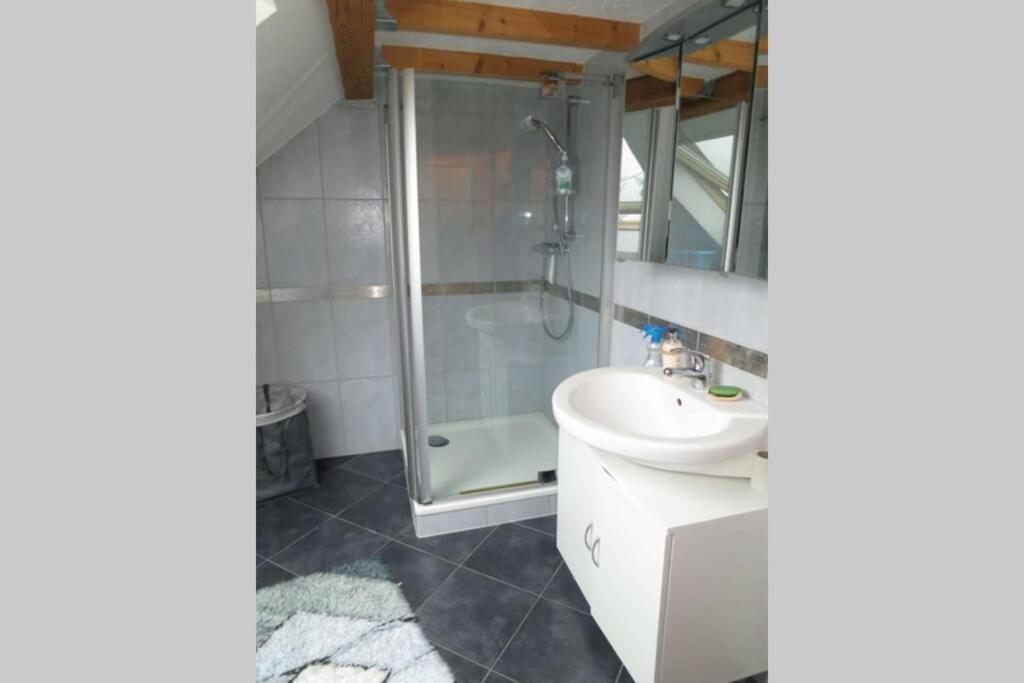 Ferienwohnung Roswitha In Blieskastel Biesingen Екстериор снимка